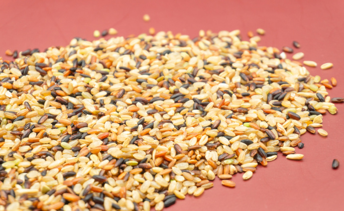 国家粮食和物资储备局印发《国家全谷物行动计划（2024—2035年）》